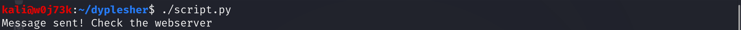 running_the_script_py_on_kali